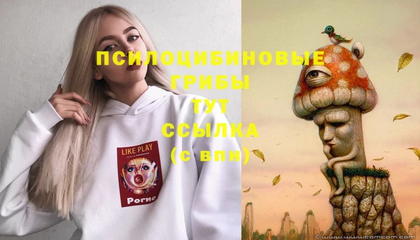 дживик Иннополис