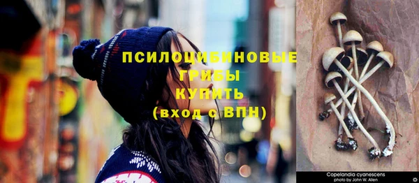 дживик Заволжье